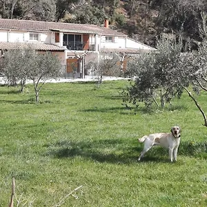 Le Mas Des Oliviers Hébergement de vacances